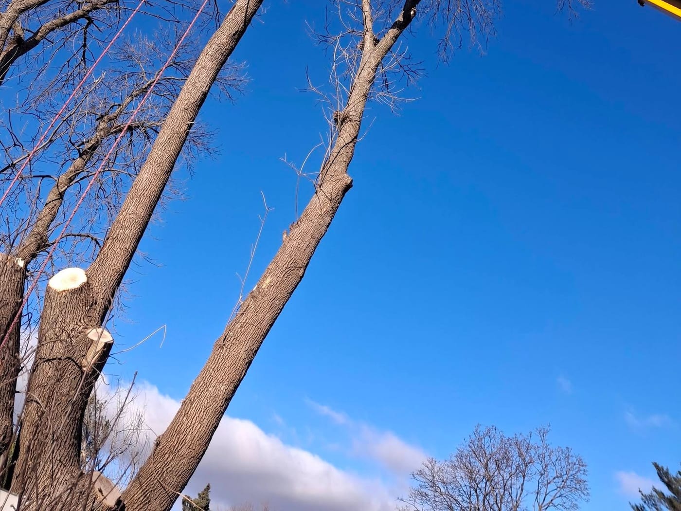 Storm-damaged tree? The crew is on call 24 hours.